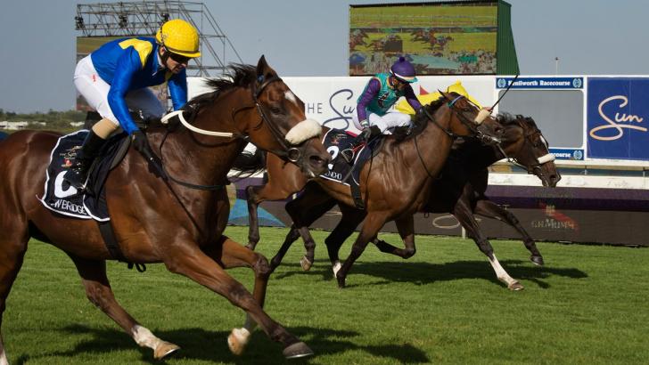 https://betting.betfair.com/horse-racing/South%20African%20racing.jpg